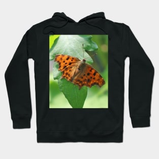 Comma butterfly Hoodie